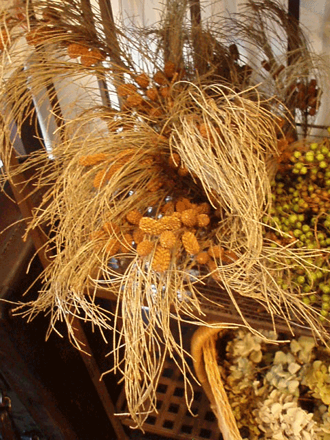 c0129702_224295.gif