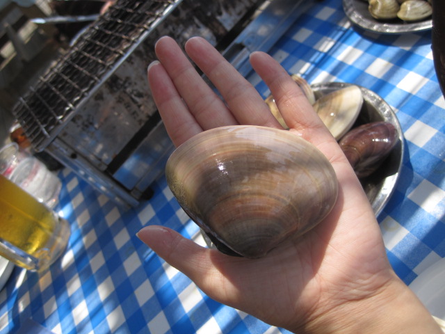 c0126703_18534347.jpg