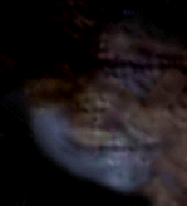 e0103408_13191987.gif