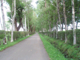 b0198109_22444153.jpg
