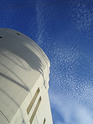 a0027014_1640021.jpg
