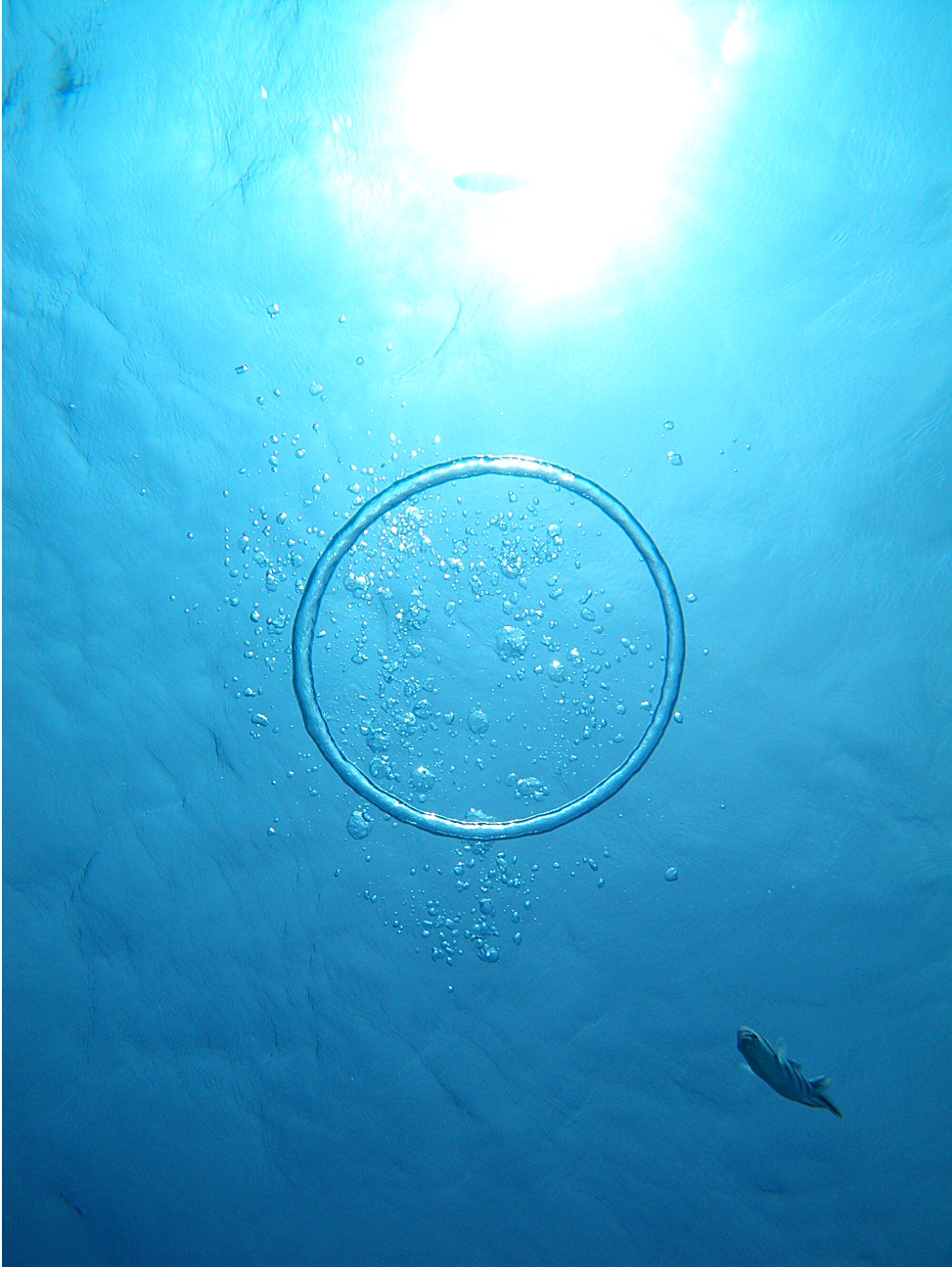 b0089616_13295274.jpg