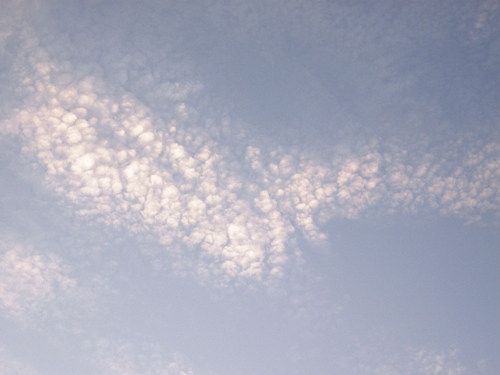 c0158916_21201627.jpg