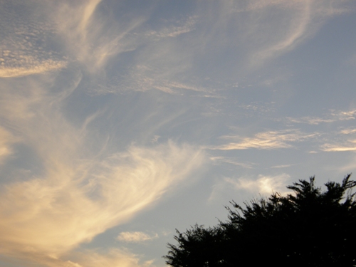c0158916_21204563.jpg
