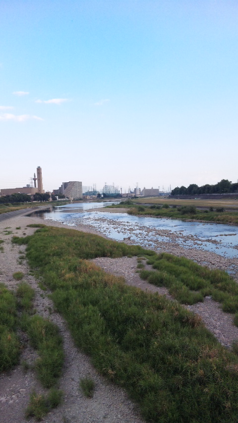 f0143521_1657165.jpg