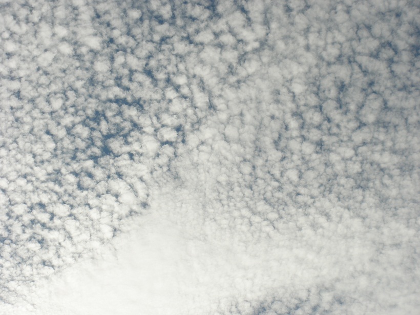 e0156222_2350621.jpg