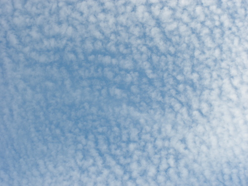 e0156222_23523546.jpg