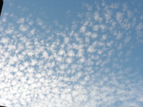e0156222_2353369.jpg