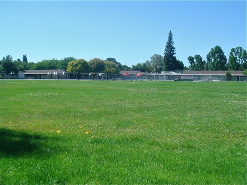 b0118624_23441024.jpg