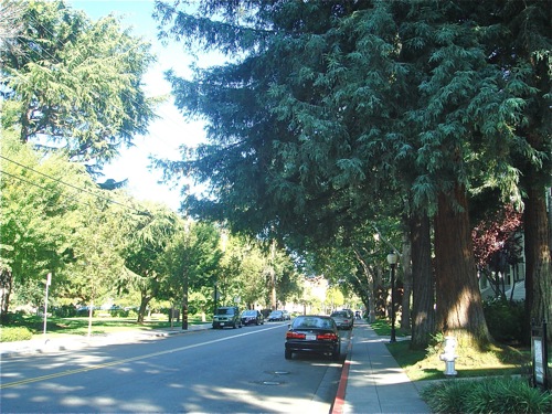 b0118624_23444597.jpg