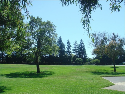 b0118624_2344646.jpg