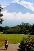 d0085025_2363411.jpg