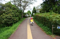 d0085025_2383199.jpg