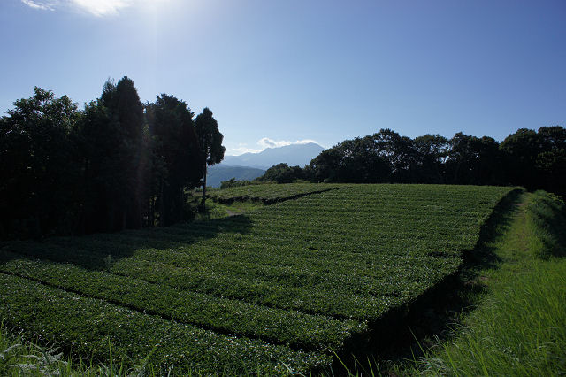 f0007926_10514386.jpg
