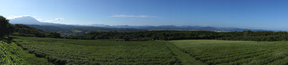 f0007926_10514576.jpg