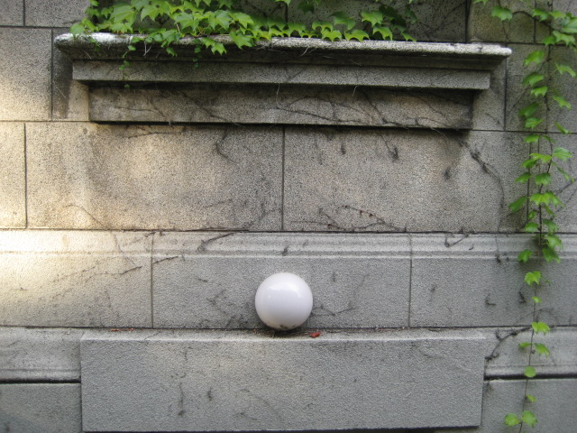 d0147727_76956.jpg