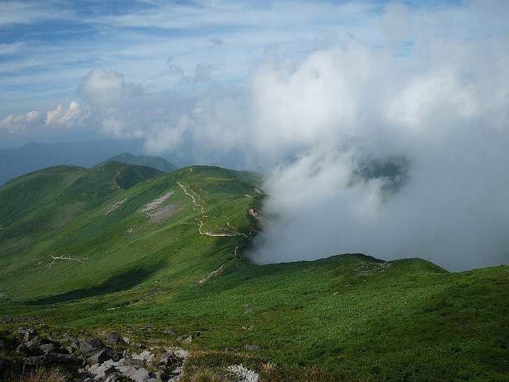 f0118332_11455099.jpg