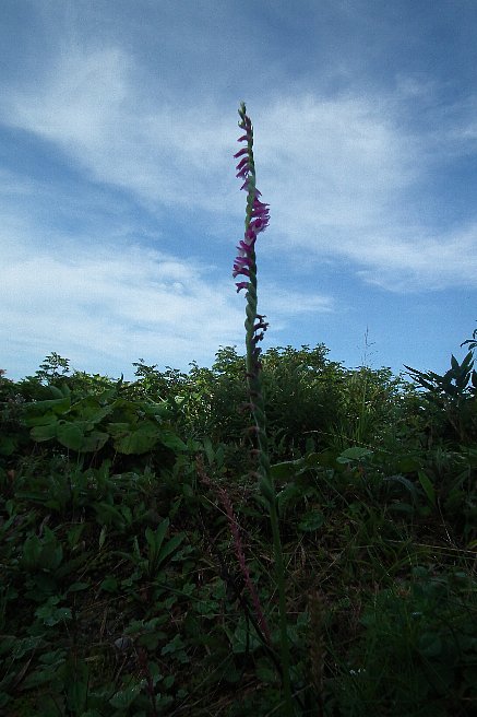 f0118332_11582146.jpg