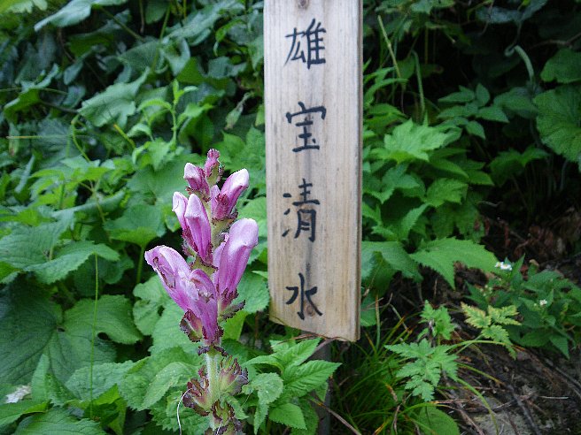 f0118332_1211454.jpg