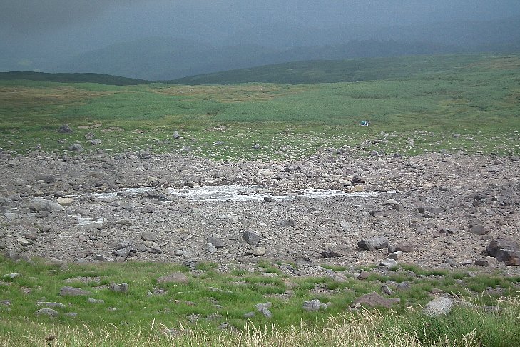 f0118332_123612.jpg