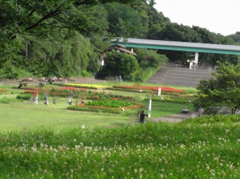 c0073536_1202718.jpg