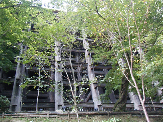 b0102639_939546.jpg