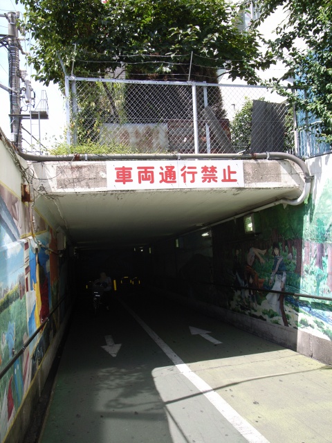 a0087341_23171582.jpg