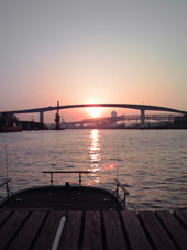 a0137142_1052520.jpg