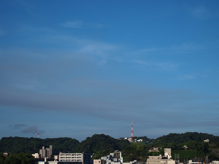 a0146442_7464722.jpg