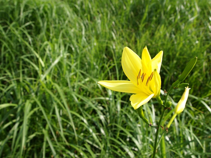 a0146442_7481955.jpg