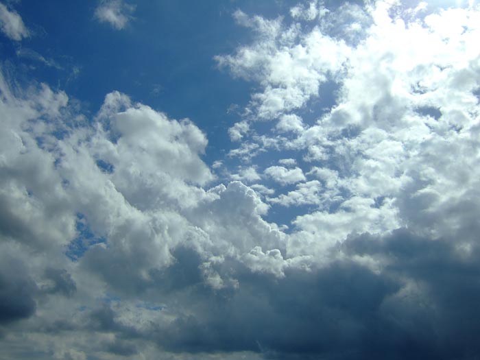 e0006242_16303116.jpg