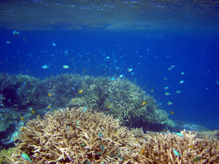 f0014842_16283367.jpg
