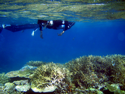 f0014842_1629547.jpg