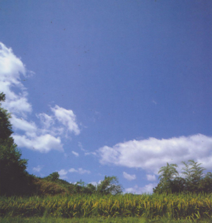 c0085543_043186.jpg