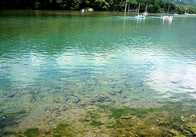 d0039443_9471232.jpg