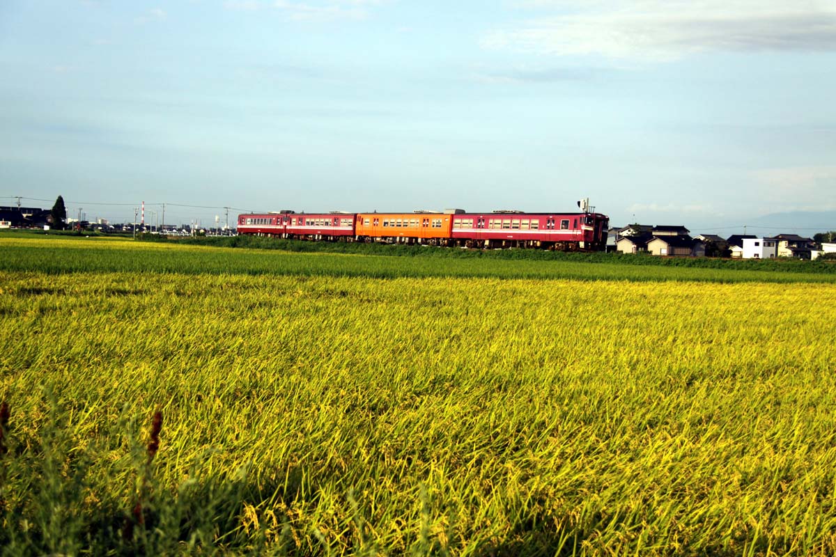a0082347_19122327.jpg