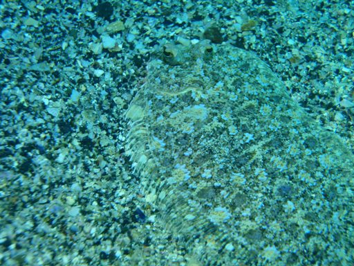 e0065350_0362520.jpg