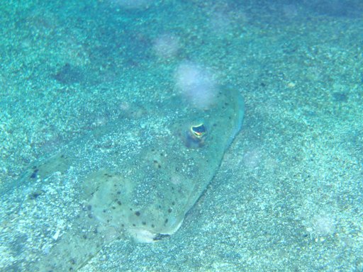 e0065350_036628.jpg