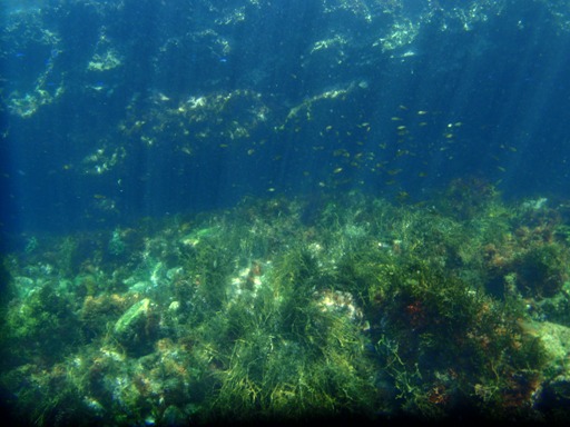 e0065350_0393334.jpg