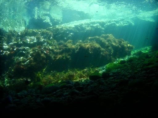 e0065350_039404.jpg