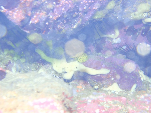 e0065350_0402032.jpg