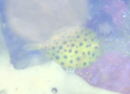 e0065350_041211.jpg