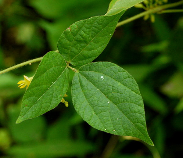 d0091754_06412.jpg
