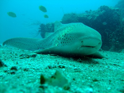 f0176156_18495997.jpg