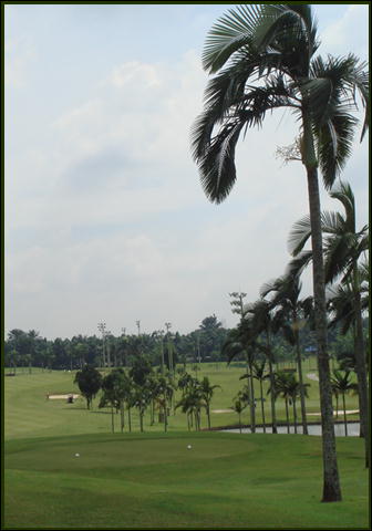 c0119357_223214.jpg