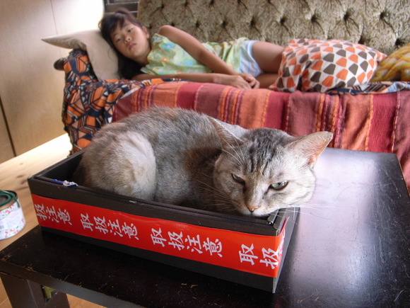 f0201157_9552549.jpg