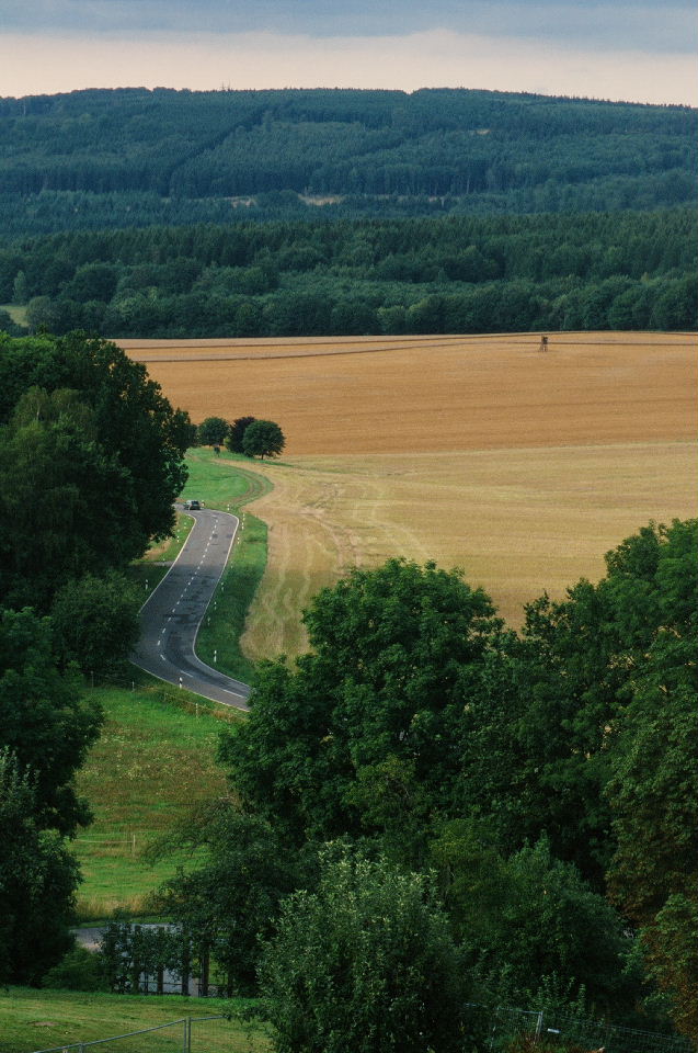 e0134658_171611.jpg