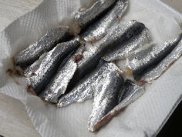 e0184558_101691.jpg