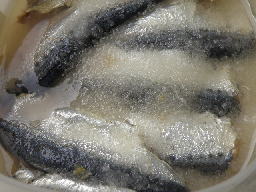 e0184558_9582045.jpg