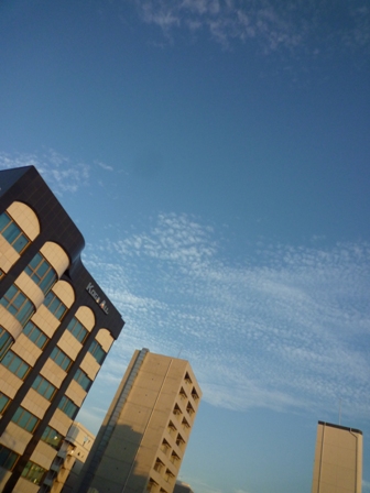 b0093660_1891289.jpg